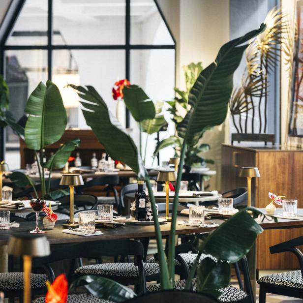 Ein elegant gedeckter Tisch in einem modernen Restaurant mit tropischen Pflanzen.