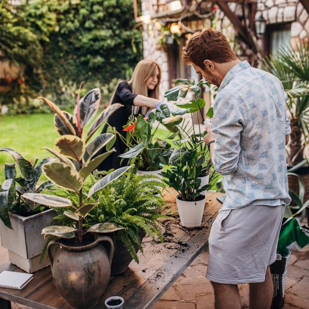 Zwei Personen bepflanzen im Garten verschiedene Pflanzen in Töpfe.