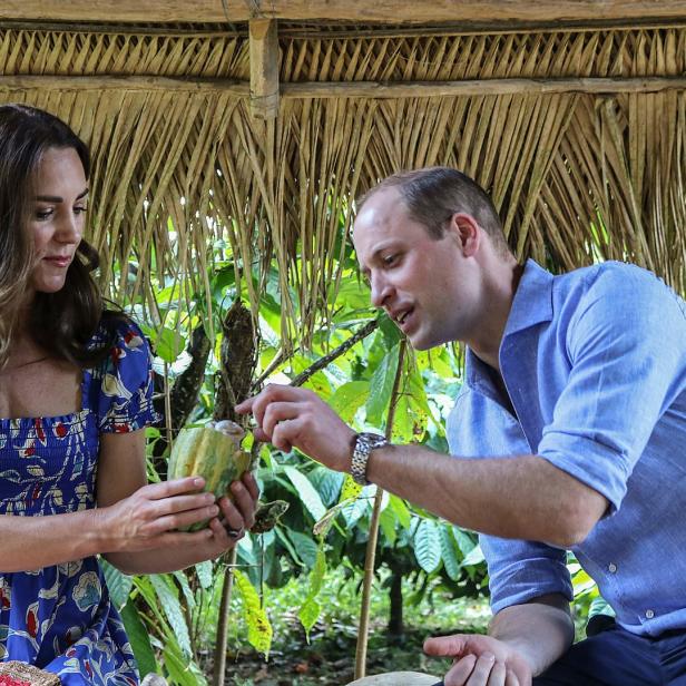 Prinz William und Prinzessin Kate betrachten eine Kakaofrucht.