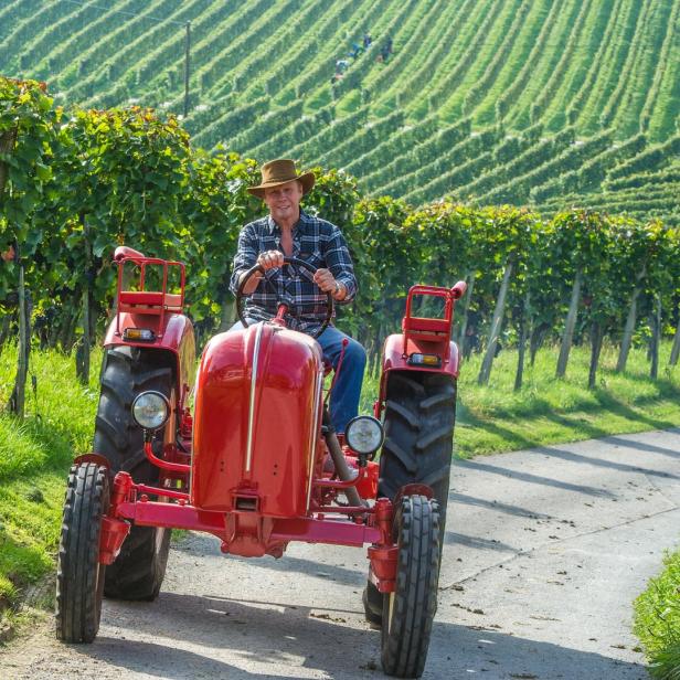 Ein Mann fährt einen roten Traktor durch einen Weinberg.