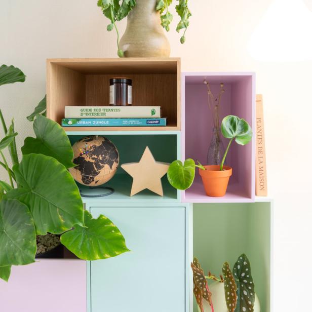 Ein buntes Regal mit Pflanzen, Büchern und dekorativen Gegenständen.