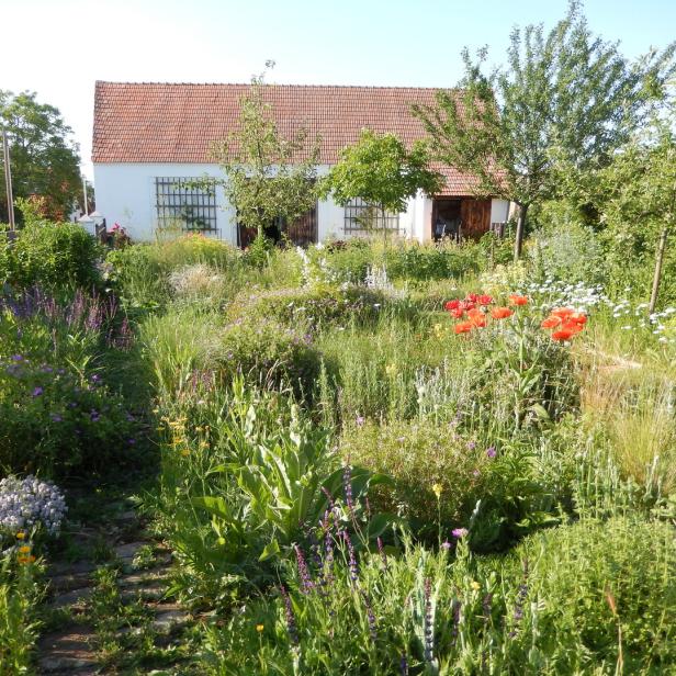 Ein üppiger Garten mit Blumen und einem weißen Haus im Hintergrund.