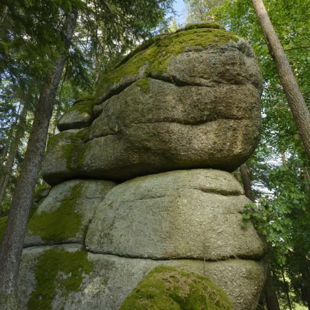 Ein großer, moosbedeckter Felsen inmitten eines Waldes.