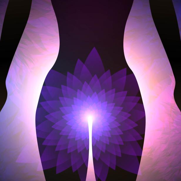 Die Silhouette einer Frau mit einer violetten Lotusblume im Bereich des Sakralchakras.