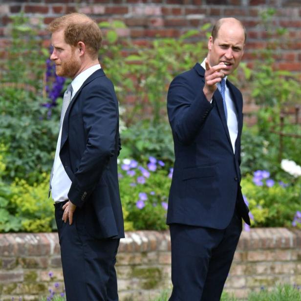 Prinz Harry und Prinz William stehen in einem Garten.