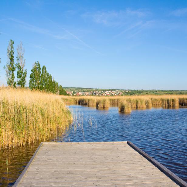Ein Holzsteg führt in einen See mit Schilf und einer Ortschaft im Hintergrund.
