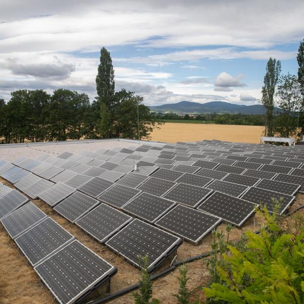 Unternehmen aus Haag ist spezialisiert auf Groß-PV-Anlagen für Unternehmen   (Symbolbild)