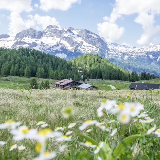 Eine Berglandschaft mit Almhütten und schneebedeckten Gipfeln im Hintergrund.
