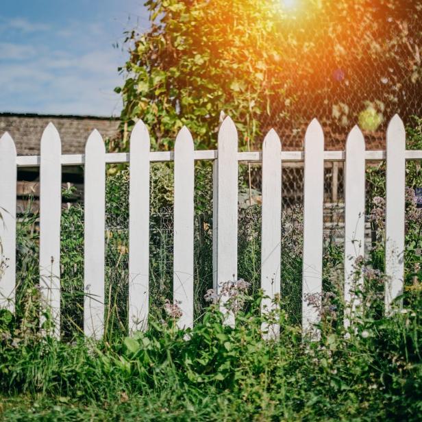 Ein weißer Lattenzaun vor üppigem Grün unter einem sonnigen Himmel.
