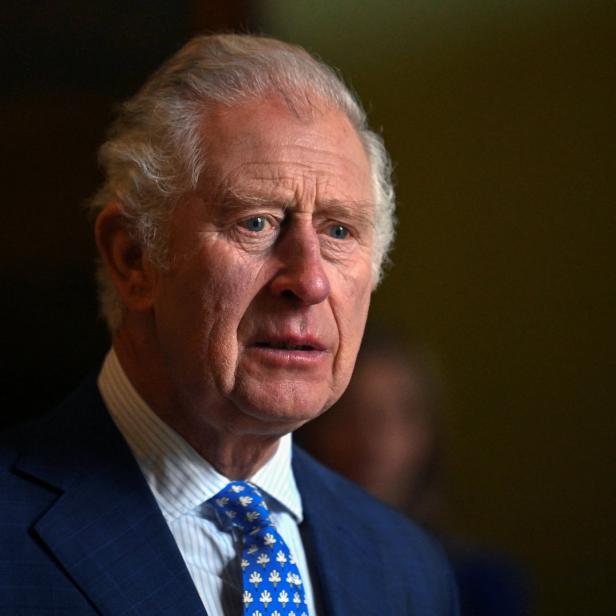 Porträt von König Charles III. im blauen Anzug.