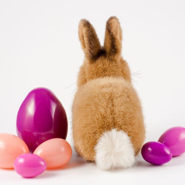 Ein Stoffhase sitzt mit dem Rücken zum Betrachter, umgeben von bunten Ostereiern.