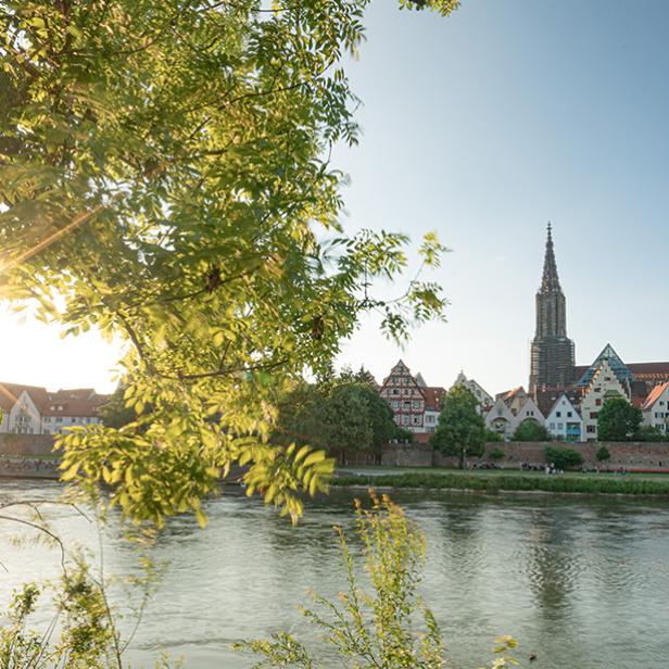 Sonnentage an der Donau.