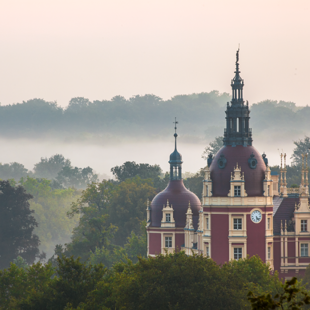 Schloss Bad Muskau ragt im Nebel über die Baumwipfel hinaus.