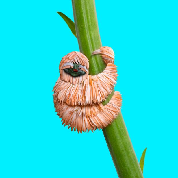 Ein Faultier aus Blumen klammert sich an einen grünen Stängel vor blauem Hintergrund.