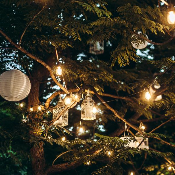 Lichterketten und Papierlaternen schmücken einen Baum.