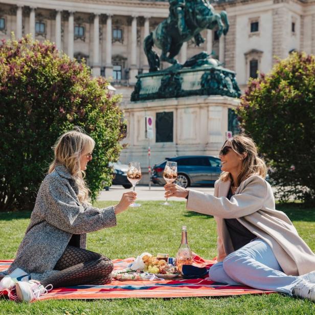 Zwei Frauen stoßen bei einem Picknick im Park mit Roséwein an.