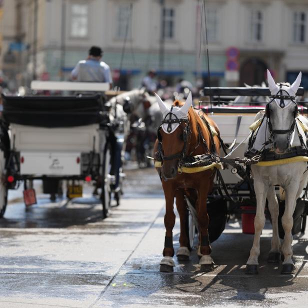 Wien: Zweijährige am Stephansplatz von Fiaker überrollt und verletzt.