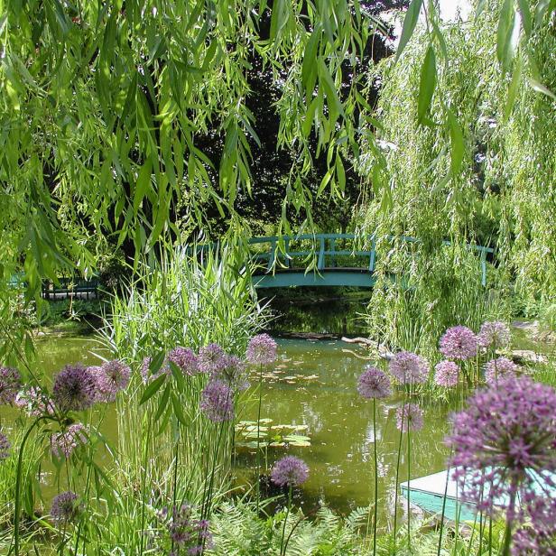 Ein Seerosenteich mit einer grünen Brücke im Hintergrund, umgeben von blühenden Blumen und Weiden.