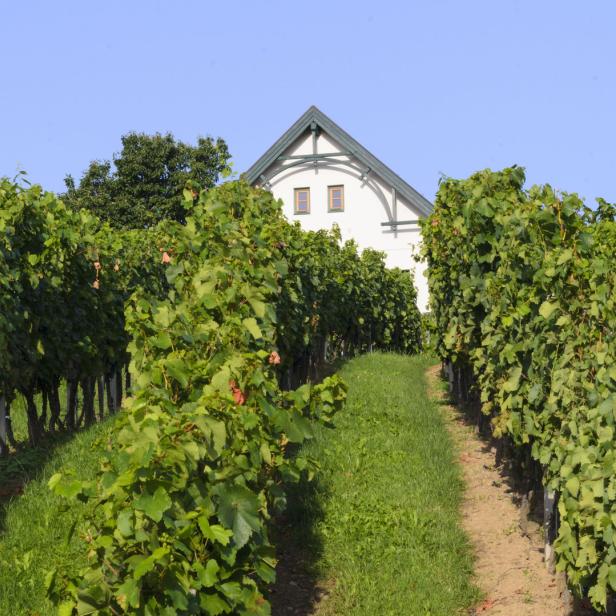 Südburgenland, Kellerstöckl Deutsch Schützen-Eisenberg.