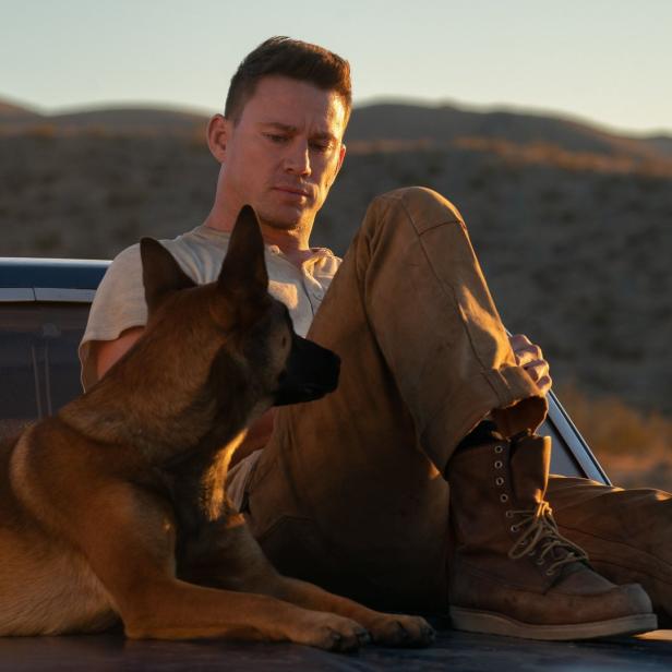 Channing Tatum sitzt mit einem Malinois auf der Motorhaube eines Autos in einer Wüstenlandschaft.