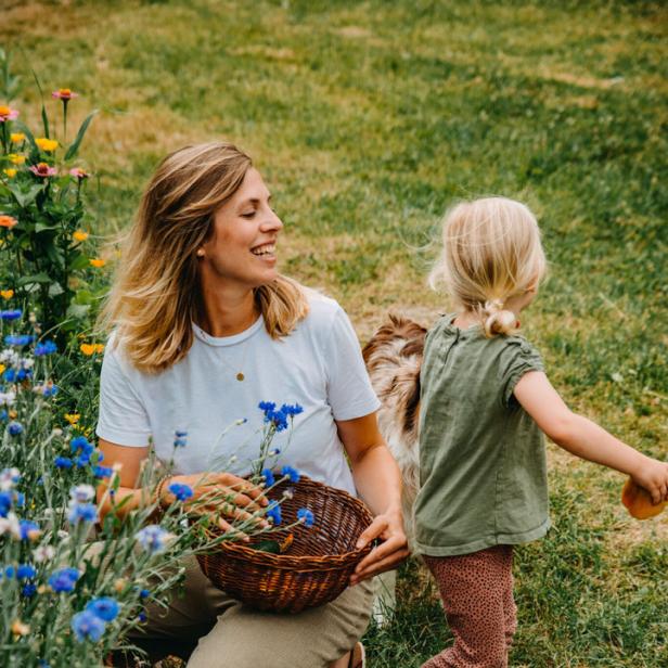 Eine Frau pflückt mit einem kleinen Mädchen blaue Kornblumen in einem Garten.