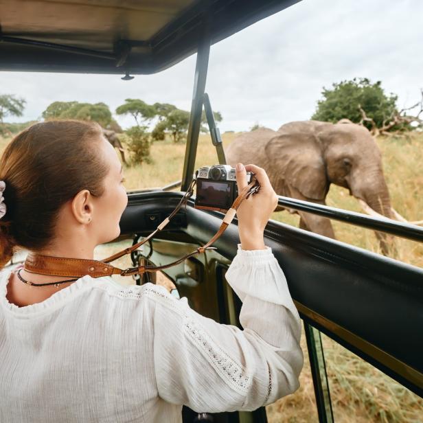 Eine Frau fotografiert einen Elefanten während einer Safari.