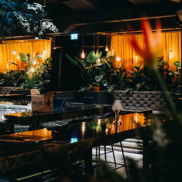 Innenansicht einer Bar mit Pflanzen, gedämpftem Licht und einer Gin-&-Sul-Kiste.