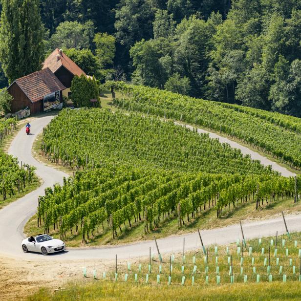 Ein weißes Auto fährt auf einer kurvenreichen Straße durch einen Weinberg.