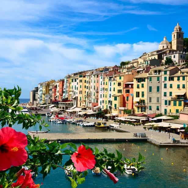 Blick auf die bunten Häuser von Portovenere in Ligurien, Italien, mit Hibiskusblüten im Vordergrund.