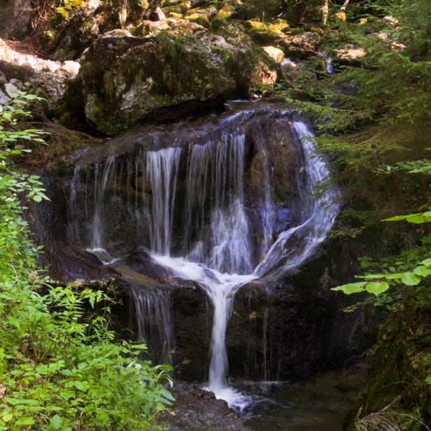Ein kleiner Wasserfall fließt über Felsen in einem grünen Wald.