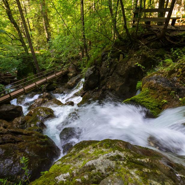 Ein Wasserfall stürzt über moosbedeckte Felsen in einem grünen Wald.