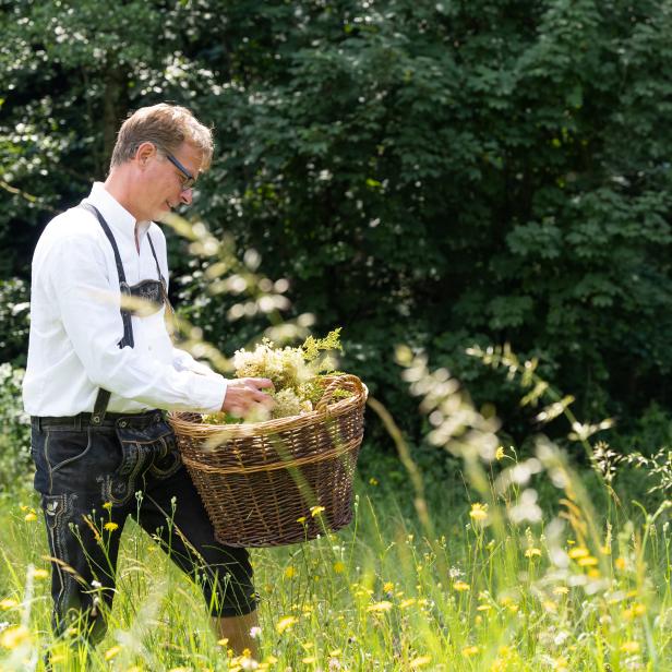 Ein Mann in Tracht trägt einen Korb voller Holunderblüten auf einer Wiese.