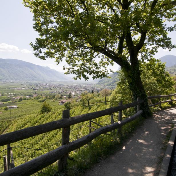 Blick auf eine Stadt in einem Tal, umgeben von Bergen und Weinbergen.