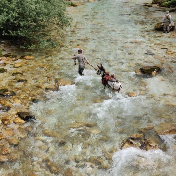 Ein Mann führt einen Esel durch einen klaren, flachen Fluss.
