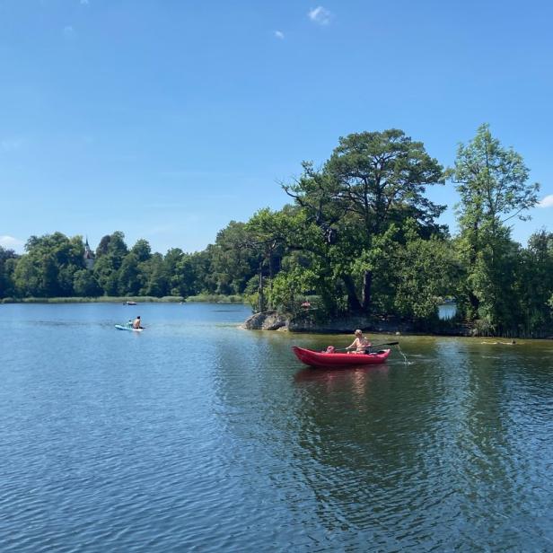 Ein rotes Kanu fährt auf einem See an einem bewaldeten Ufer entlang.