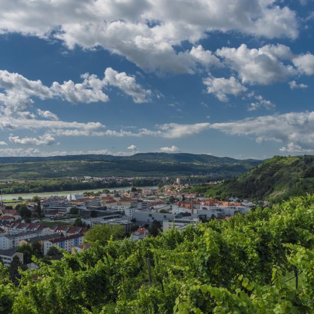 Blick über Krems an der Donau mit Weinbergen im Vordergrund.