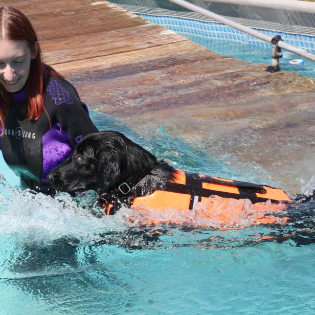 Eine Frau trainiert mit einem schwarzen Hund im Schwimmbad, der eine Schwimmweste trägt.
