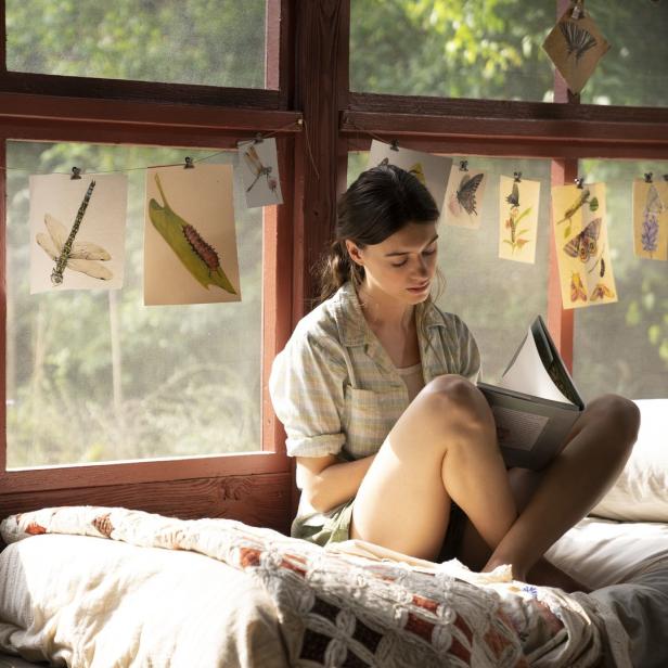 Eine junge Frau sitzt am Fenster und liest ein Buch, umgeben von Zeichnungen von Insekten und Schmetterlingen.