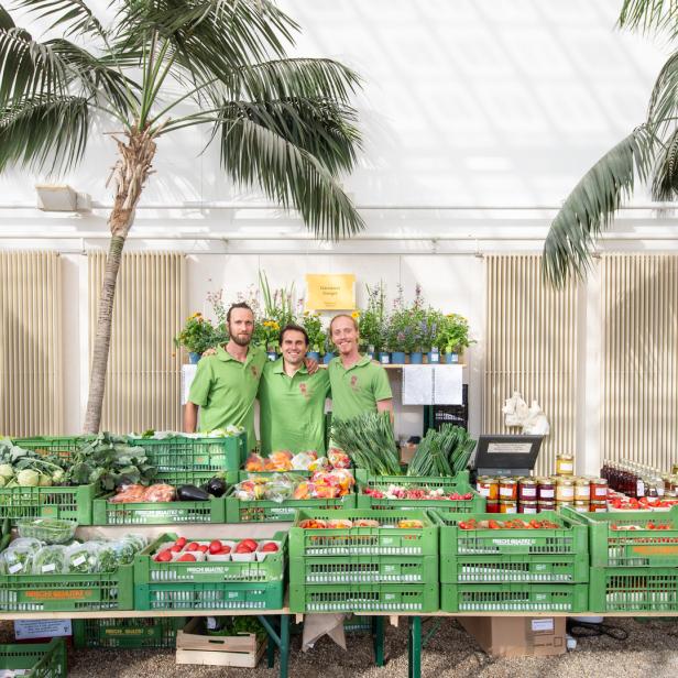 Drei Männer stehen hinter einem Stand mit frischem Gemüse und Pflanzen in grünen Kisten.