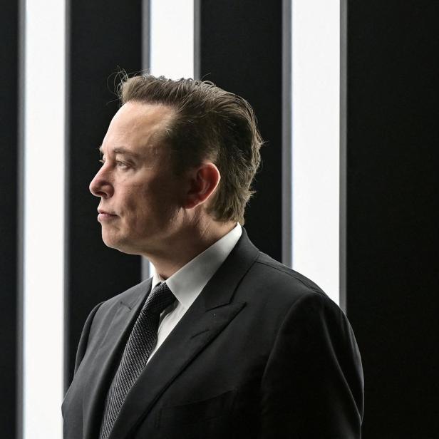 Elon Musk im Profil vor einem Hintergrund aus schwarzen und weißen Streifen.