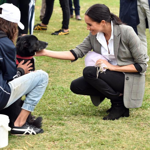 Meghan Markle streichelt einen Hund, der neben einer Person mit „Apollo House“-Jacke sitzt.