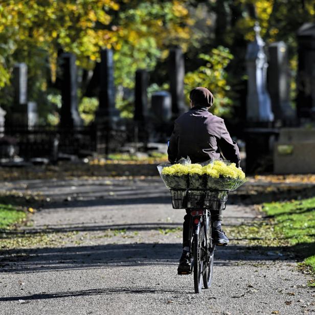 Eine Frau fährt mit dem Fahrrad und einem Korb gelber Blumen durch einen Park.