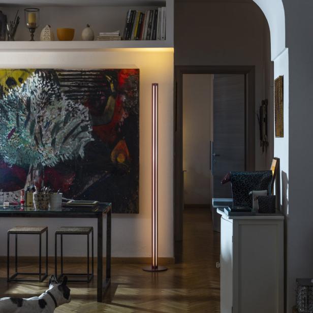 Ein Wohnzimmer mit einem abstrakten Gemälde, einer Stehlampe und einem Hund im Vordergrund.