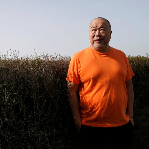 Ein Mann mit orangefarbenem T-Shirt steht vor einer Hecke.