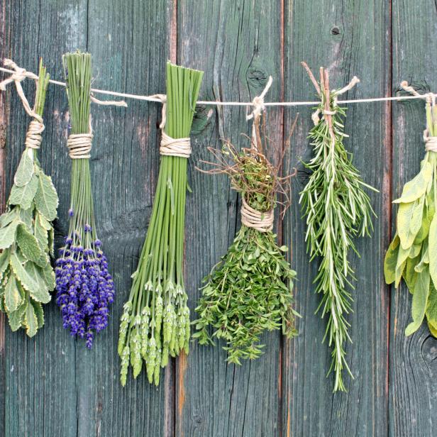Verschiedene Kräuter und Lavendel hängen an einer Schnur vor einer grünen Holzwand.