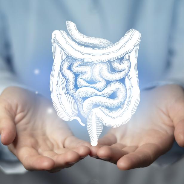 Ein Internist trägt auf seinen Händen eine Visualisierung eines Darms.