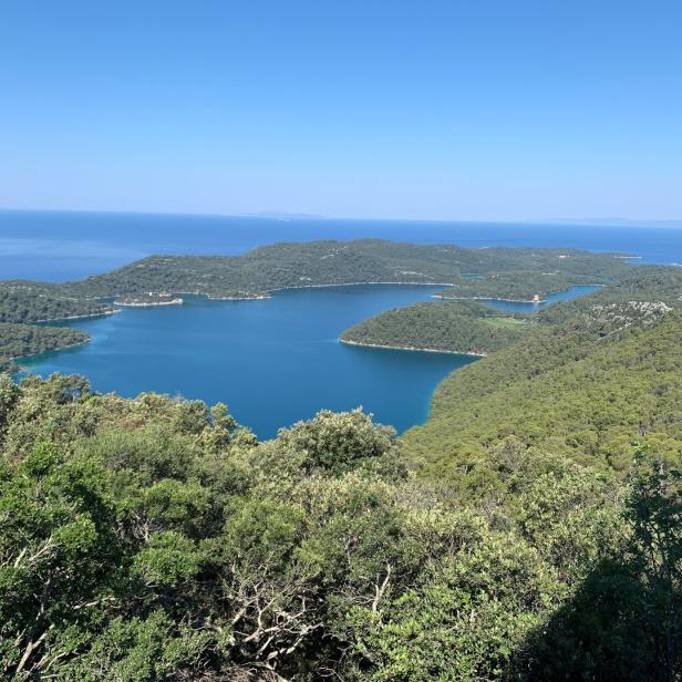 Blick über einen bewaldeten Nationalpark auf eine blaue Meeresbucht unter einem klaren Himmel.
