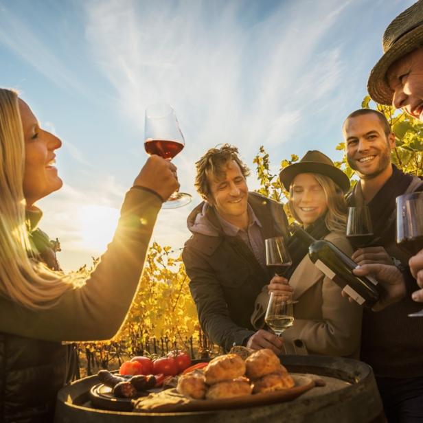 Eine Gruppe von Menschen genießt Wein und Snacks in einem Weinberg.
