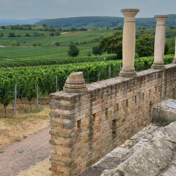 Blick über einen Weinberg mit den Überresten einer römischen Tempelanlage.