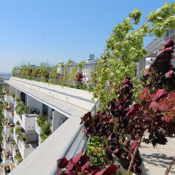 Ein modernes Wohngebäude mit begrünten Terrassen unter blauem Himmel.